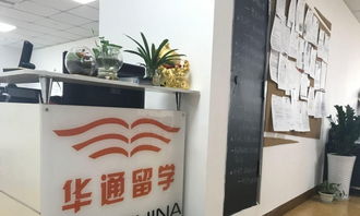 綿陽華通留學(xué) 通往美國名校的專業(yè)橋梁與全面信息指南